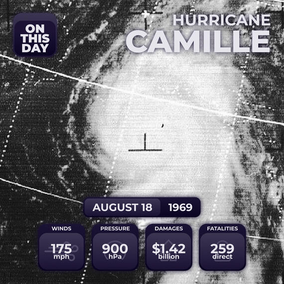 Infographic