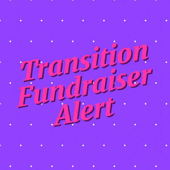 IG Fundraiser Graphic